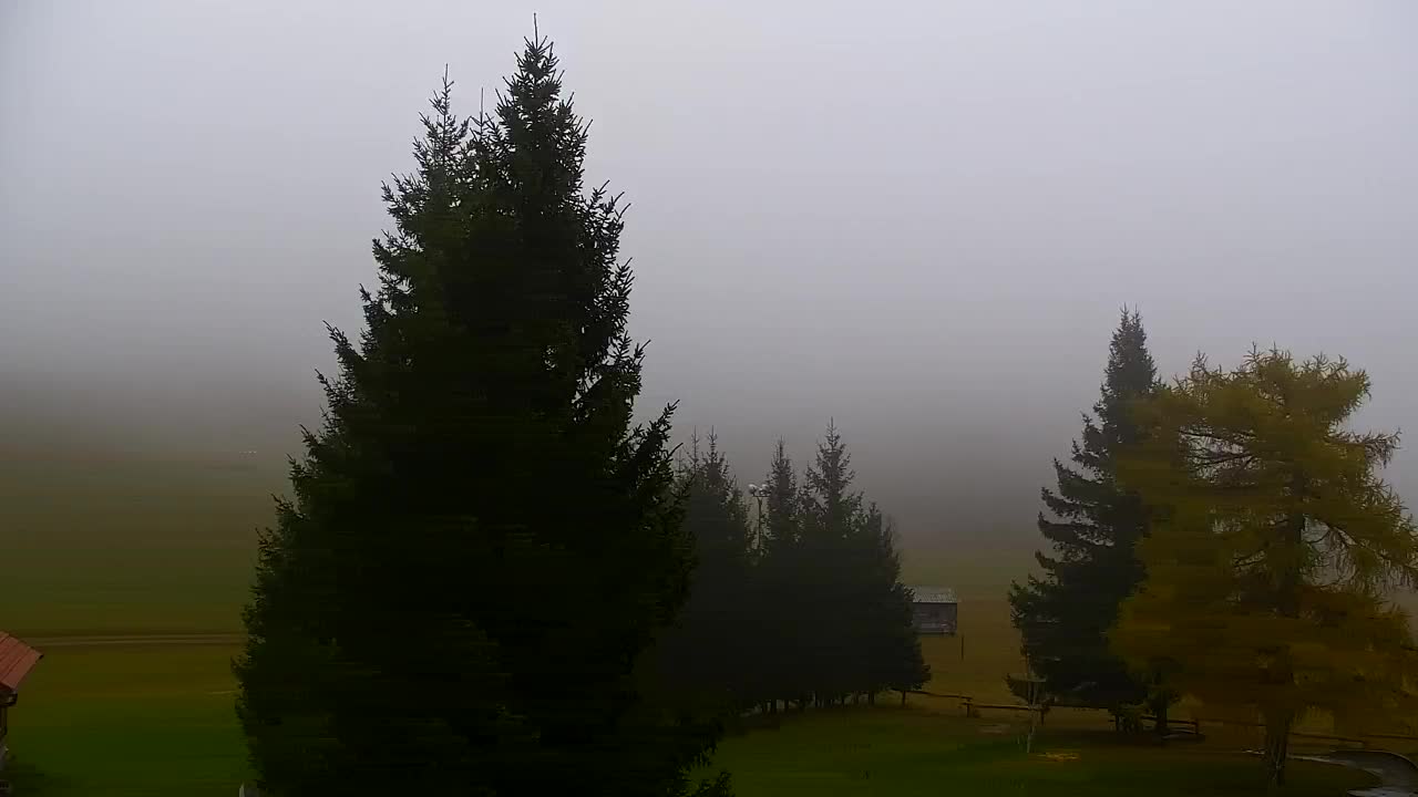 Webcam Lokve – La beauté de la forêt de Trnovo