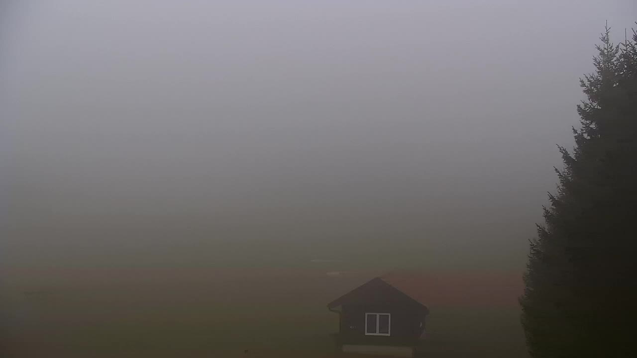 Webcam Lokve – The beauty of the Trnovo forest