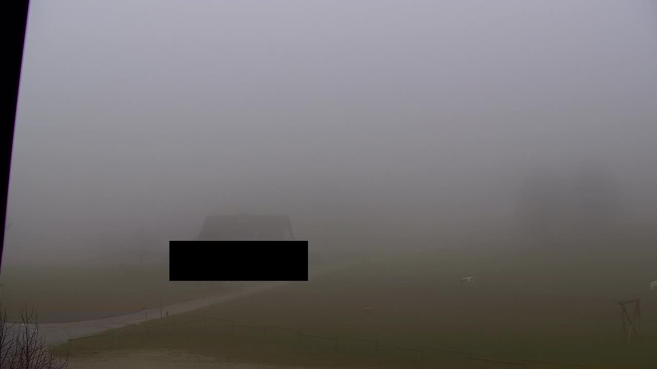 Webcam Lokve – Die Schönheit des Trnovo-Waldes