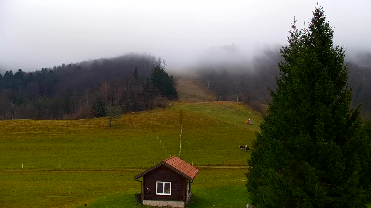 Webcam Lokve – Die Schönheit des Trnovo-Waldes