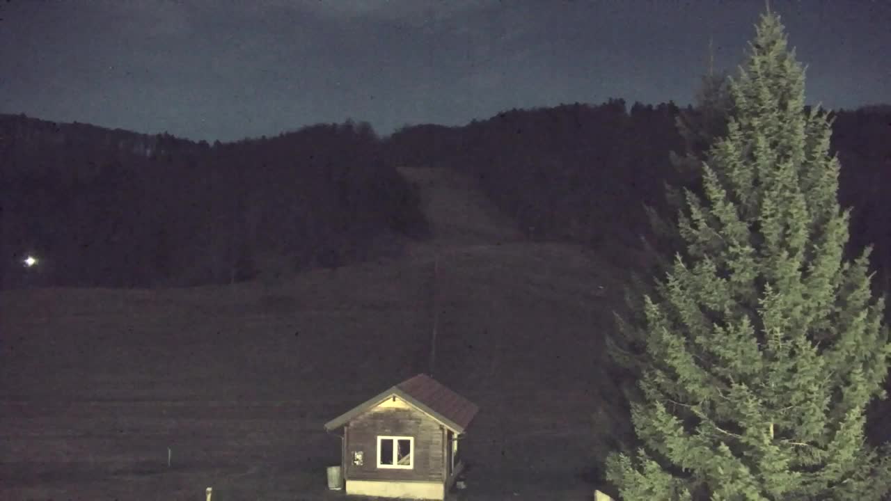 Webcam Loqua / Lokve – La bellezza della selva di Tarnova