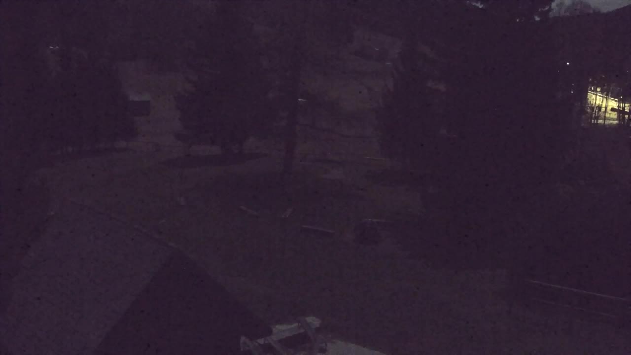 Webcam Loqua / Lokve – La bellezza della selva di Tarnova