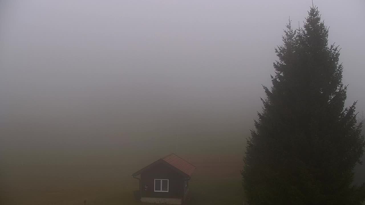 Web kamera Lokve – Ljepota Trnovske šume