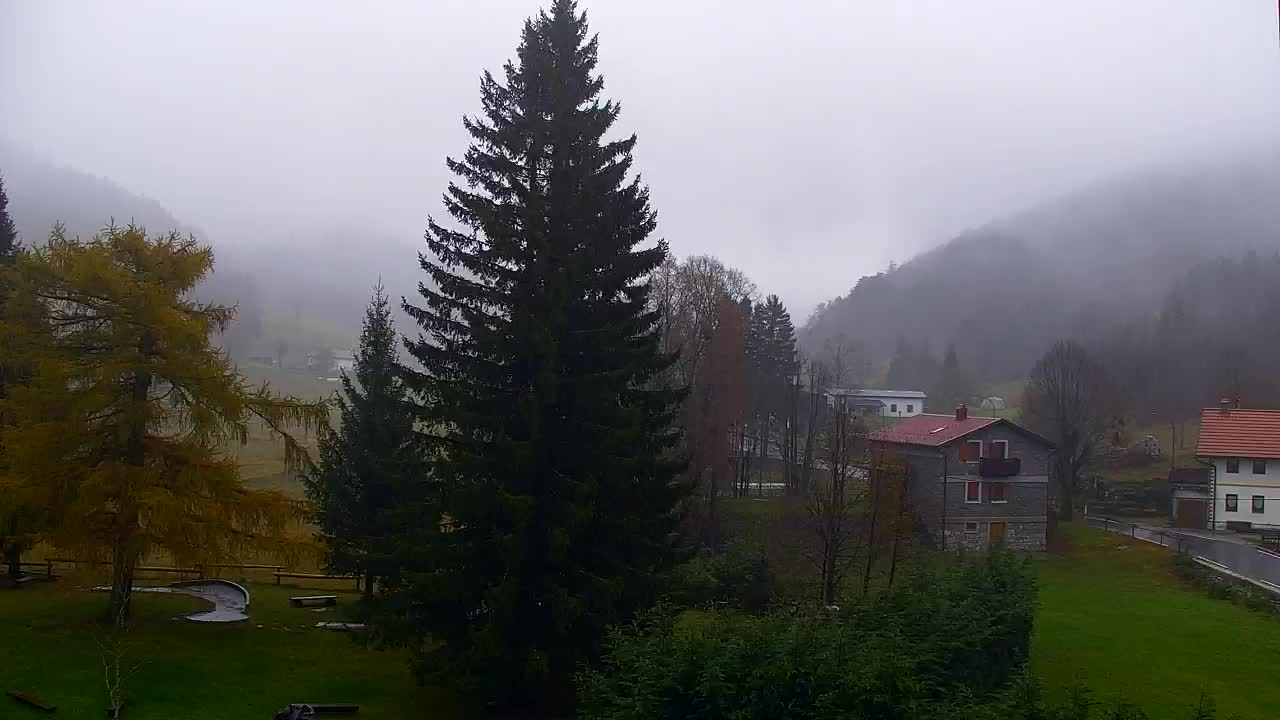 Web kamera Lokve – Ljepota Trnovske šume