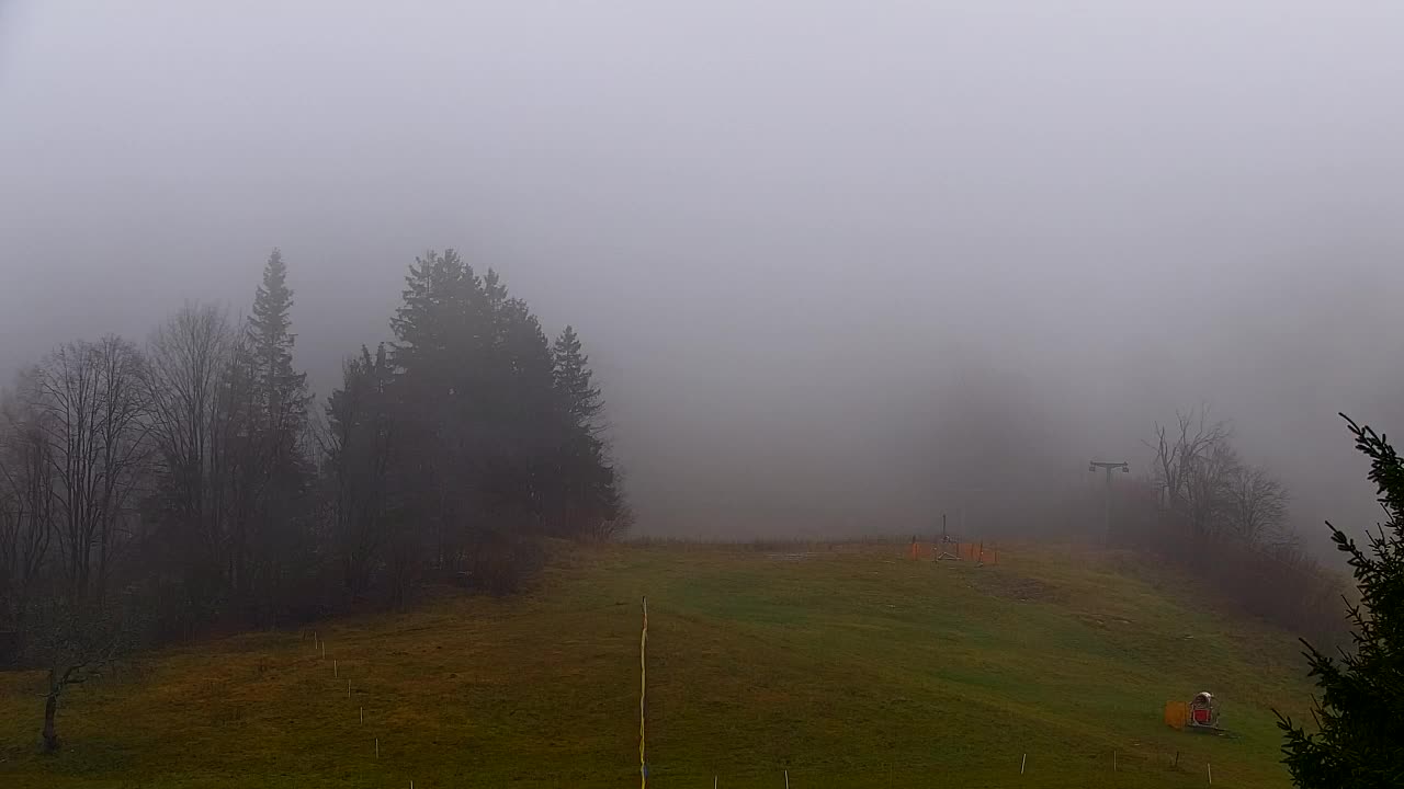 Webcam Lokve – The beauty of the Trnovo forest