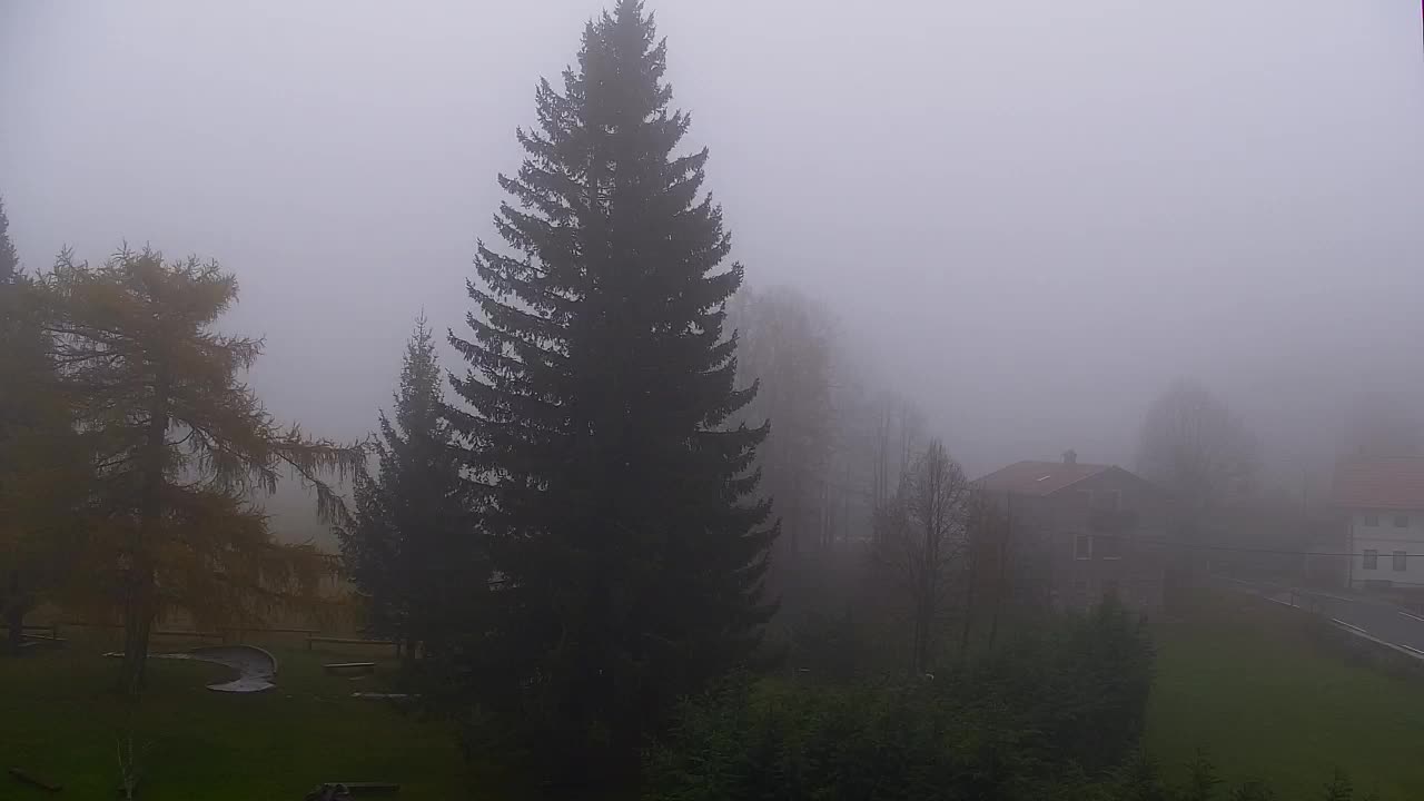 Webcam Lokve – Die Schönheit des Trnovo-Waldes