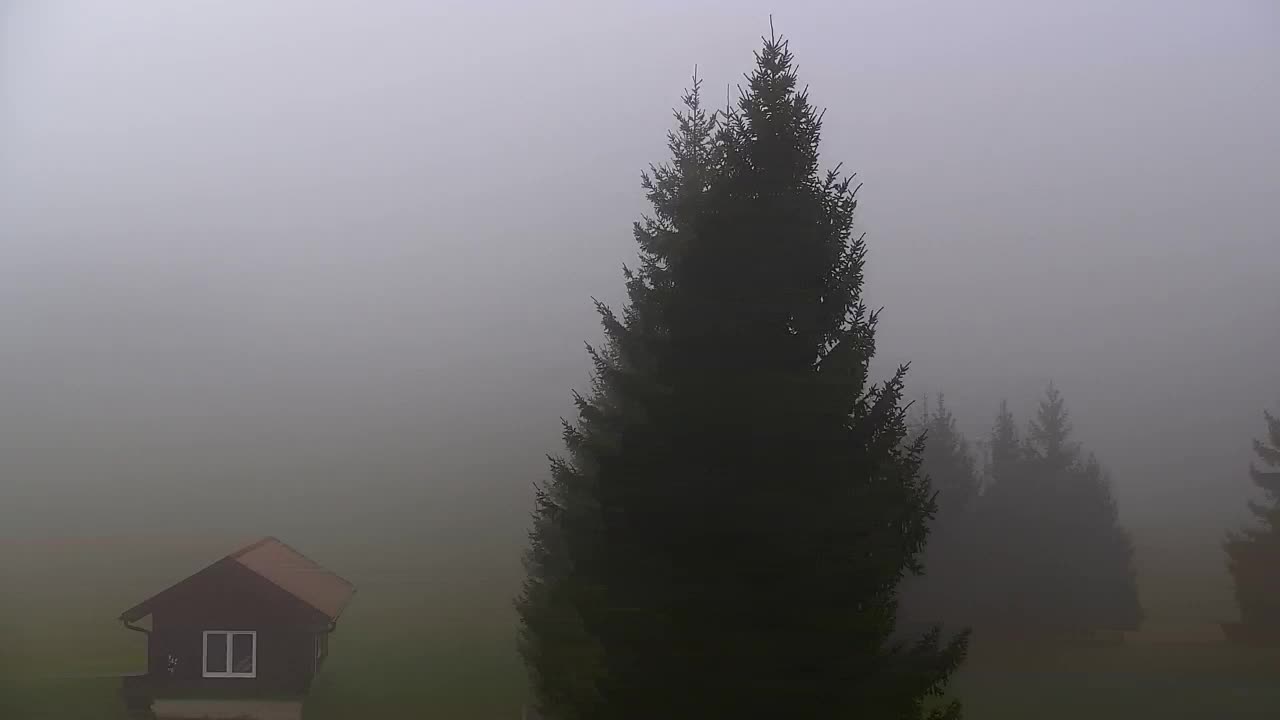 Webcam Lokve – The beauty of the Trnovo forest