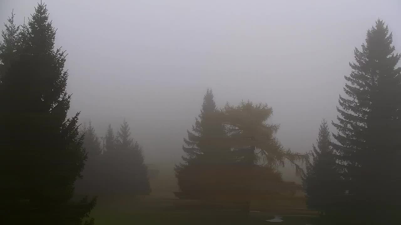 Camera en vivo Lokve – La belleza del bosque de Trnovo