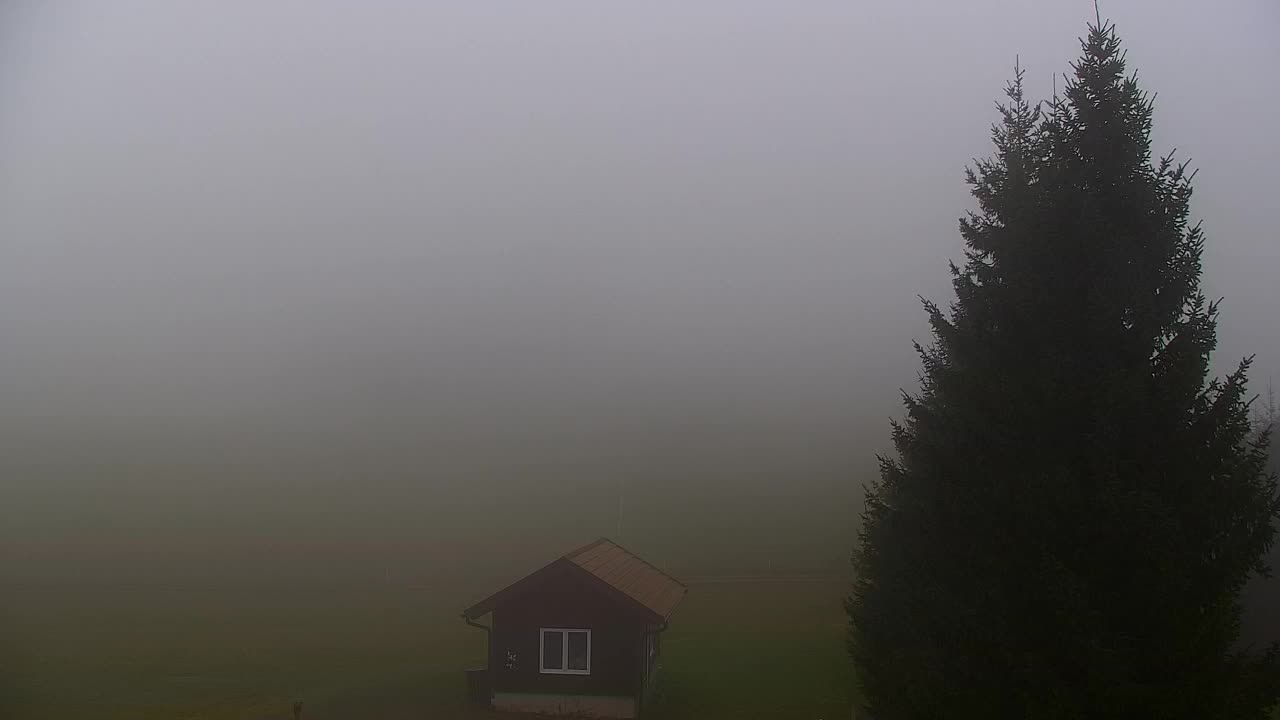 Web kamera Lokve – Ljepota Trnovske šume