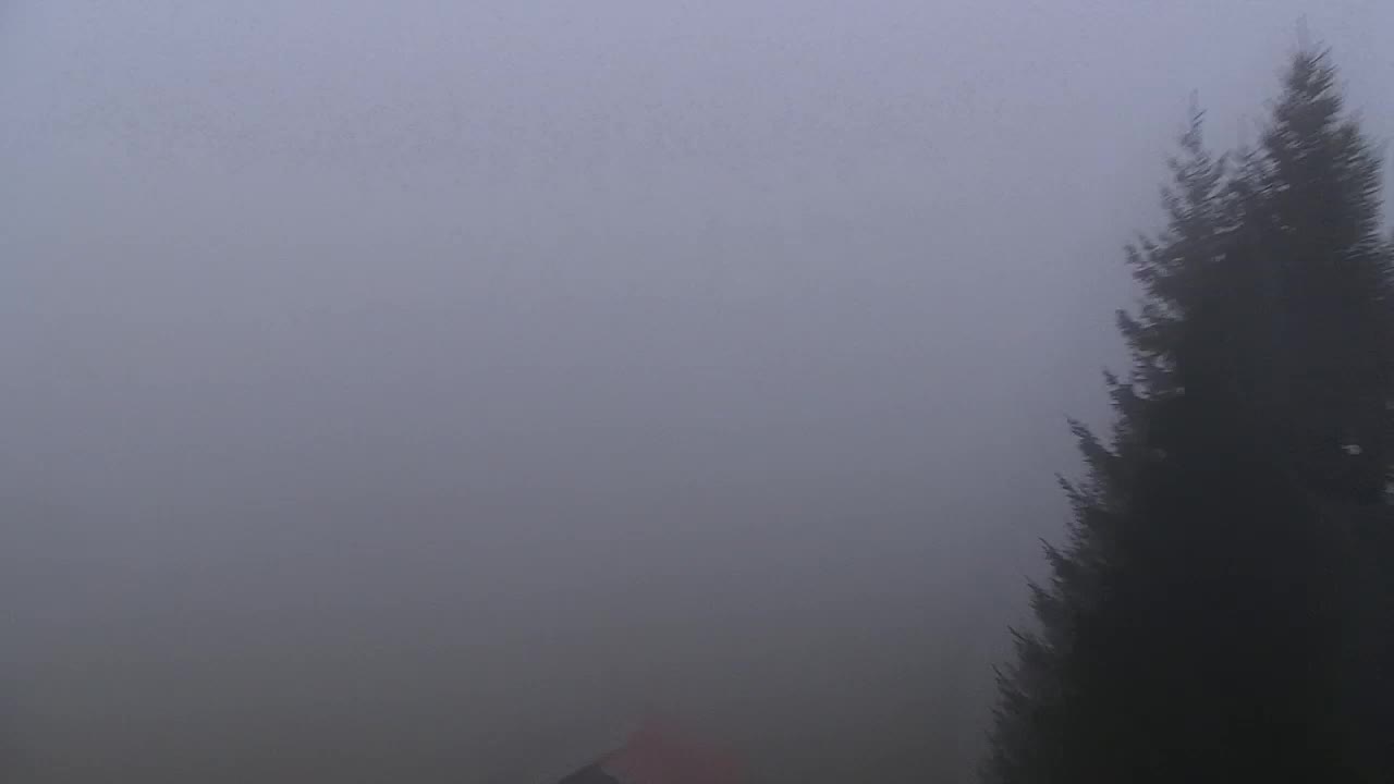 Lokve kamera – Naravne lepote Trnovskega gozda