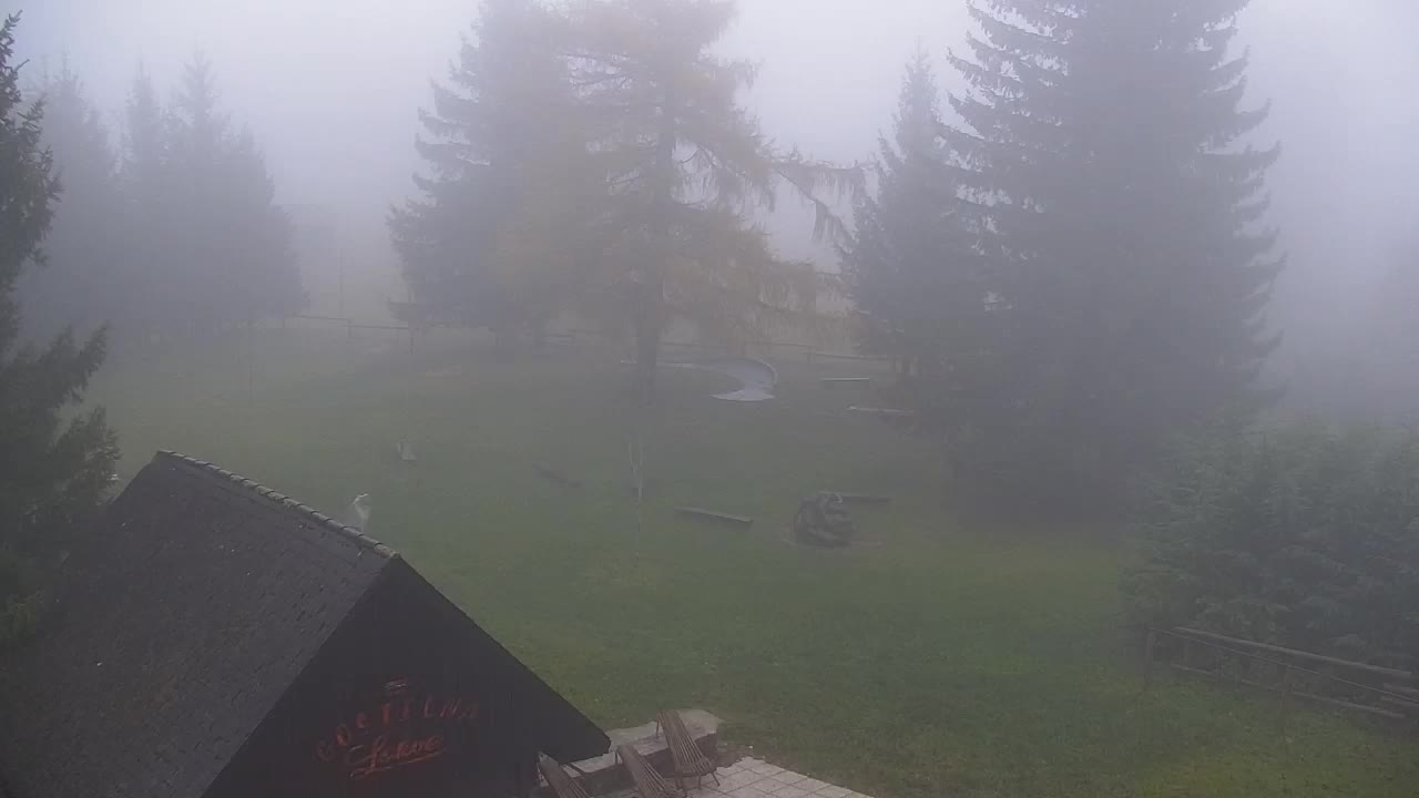 Webcam Lokve – The beauty of the Trnovo forest