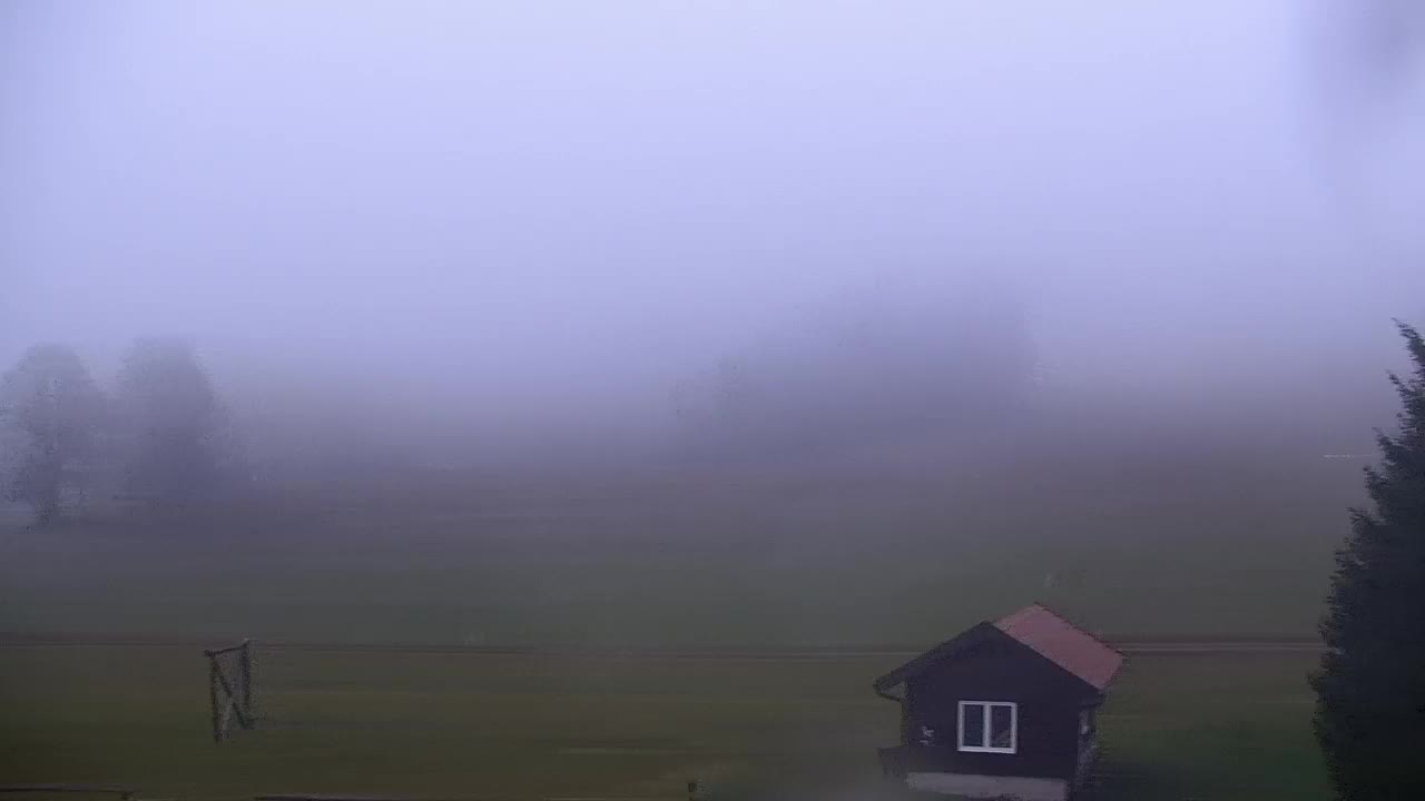 Web kamera Lokve – Ljepota Trnovske šume