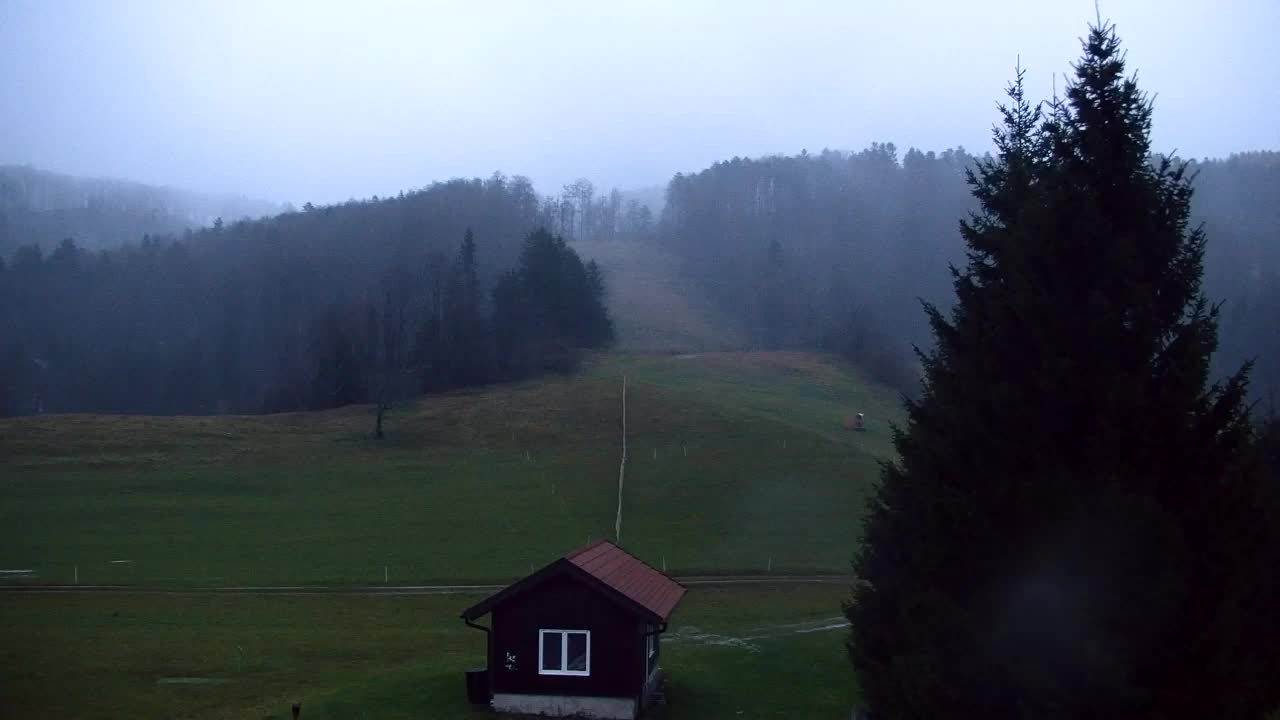 Webcam Loqua / Lokve – La bellezza della selva di Tarnova