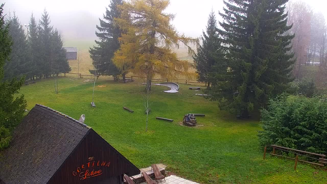 Lokve kamera – Naravne lepote Trnovskega gozda