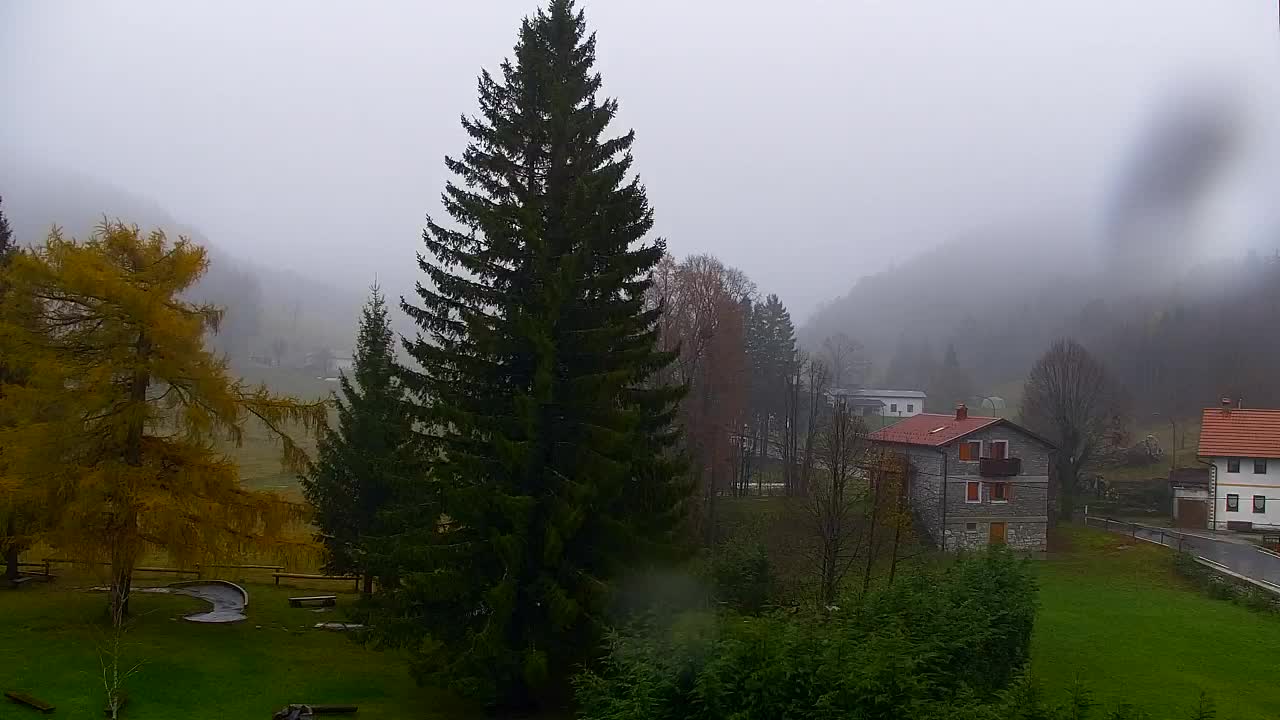 Webcam Lokve – Die Schönheit des Trnovo-Waldes