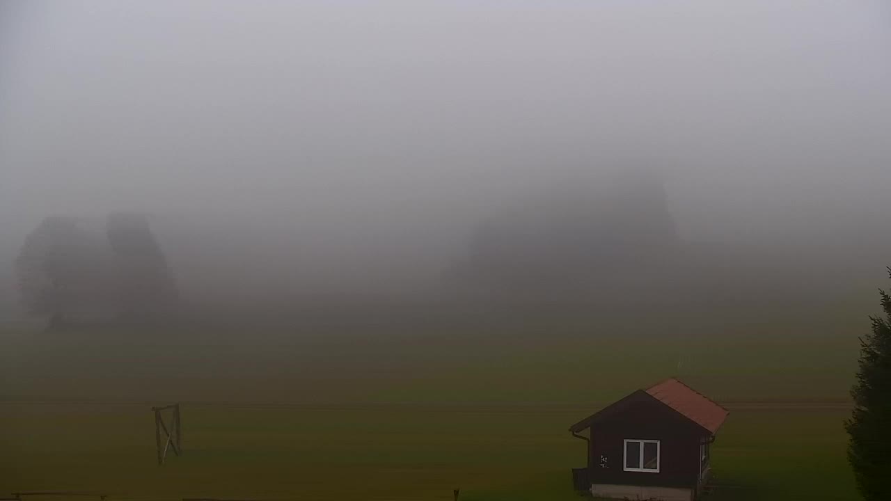 Webcam Lokve – The beauty of the Trnovo forest