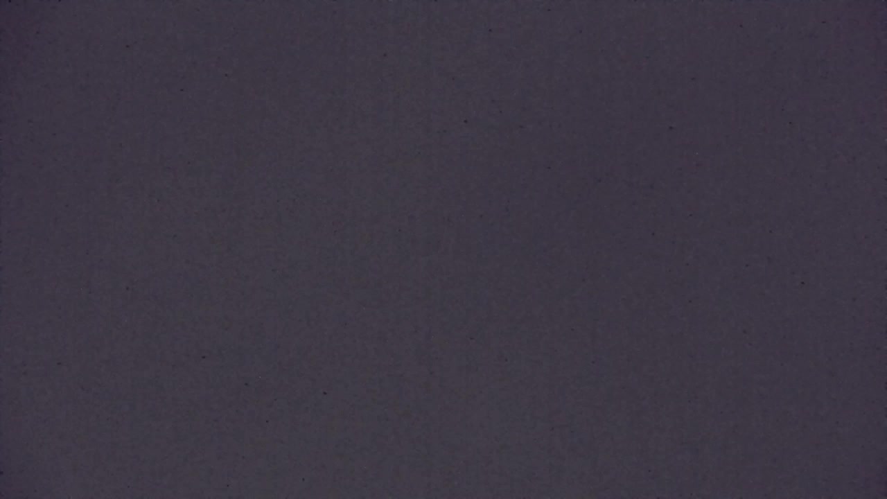 Webcam Loqua / Lokve – La bellezza della selva di Tarnova