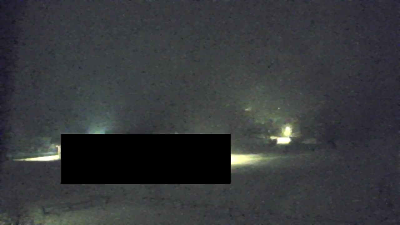 Webcam Loqua / Lokve – La bellezza della selva di Tarnova