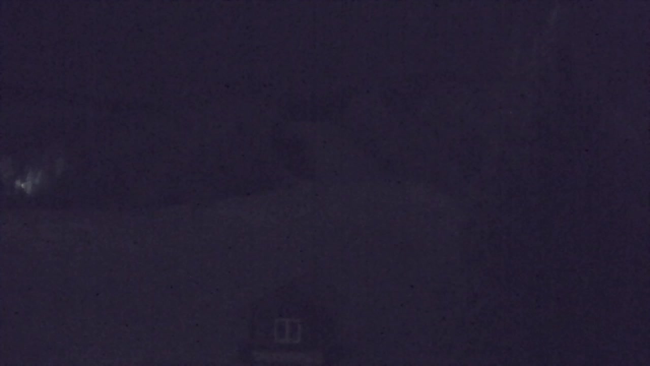 Web kamera Lokve – Ljepota Trnovske šume