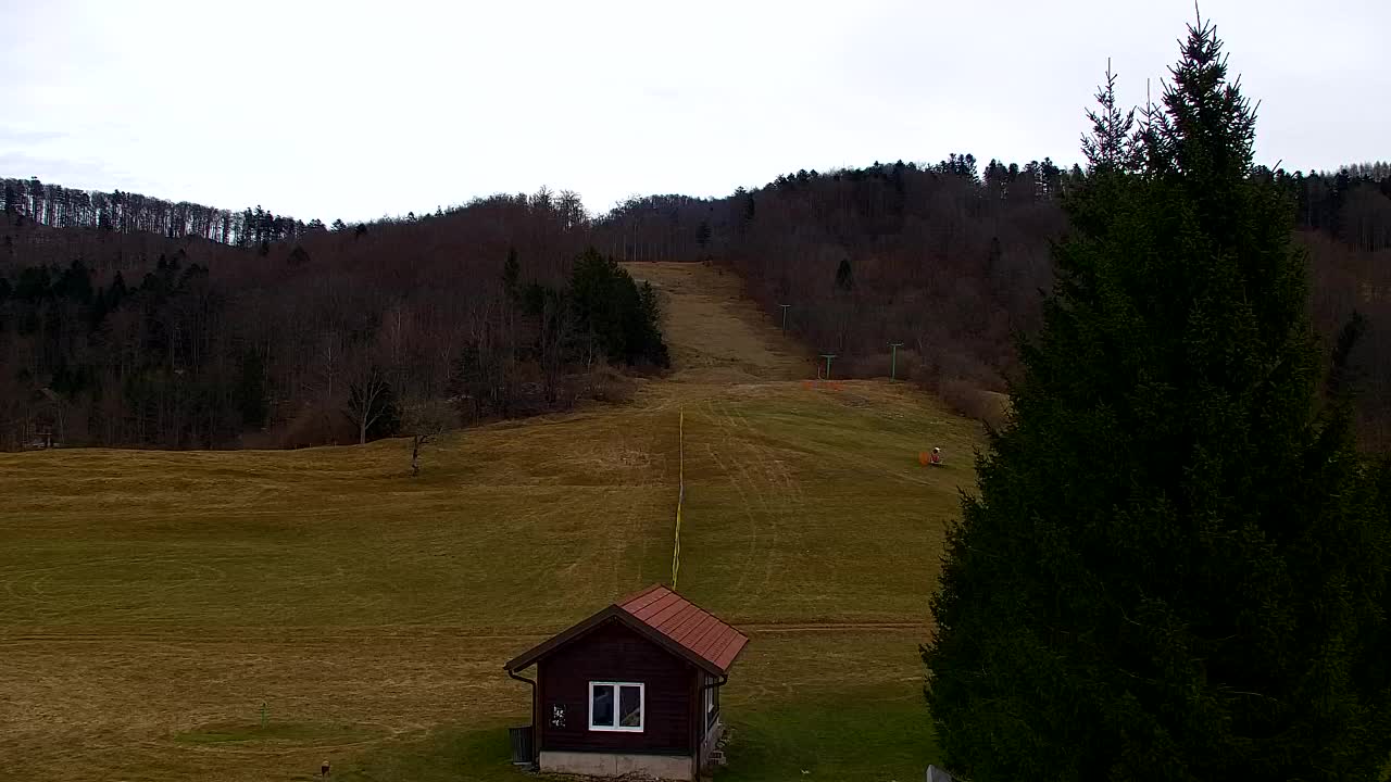 Web kamera Lokve – Ljepota Trnovske šume