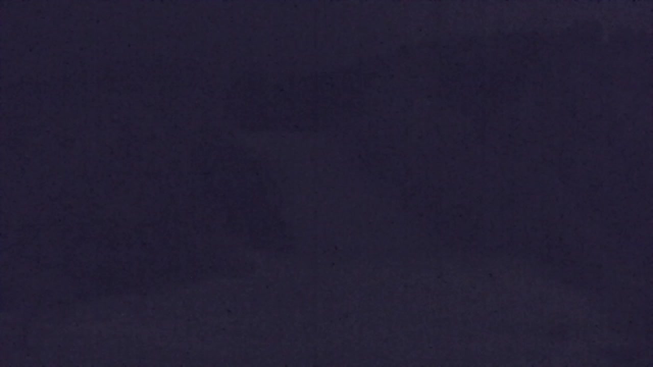 Lokve kamera – Naravne lepote Trnovskega gozda