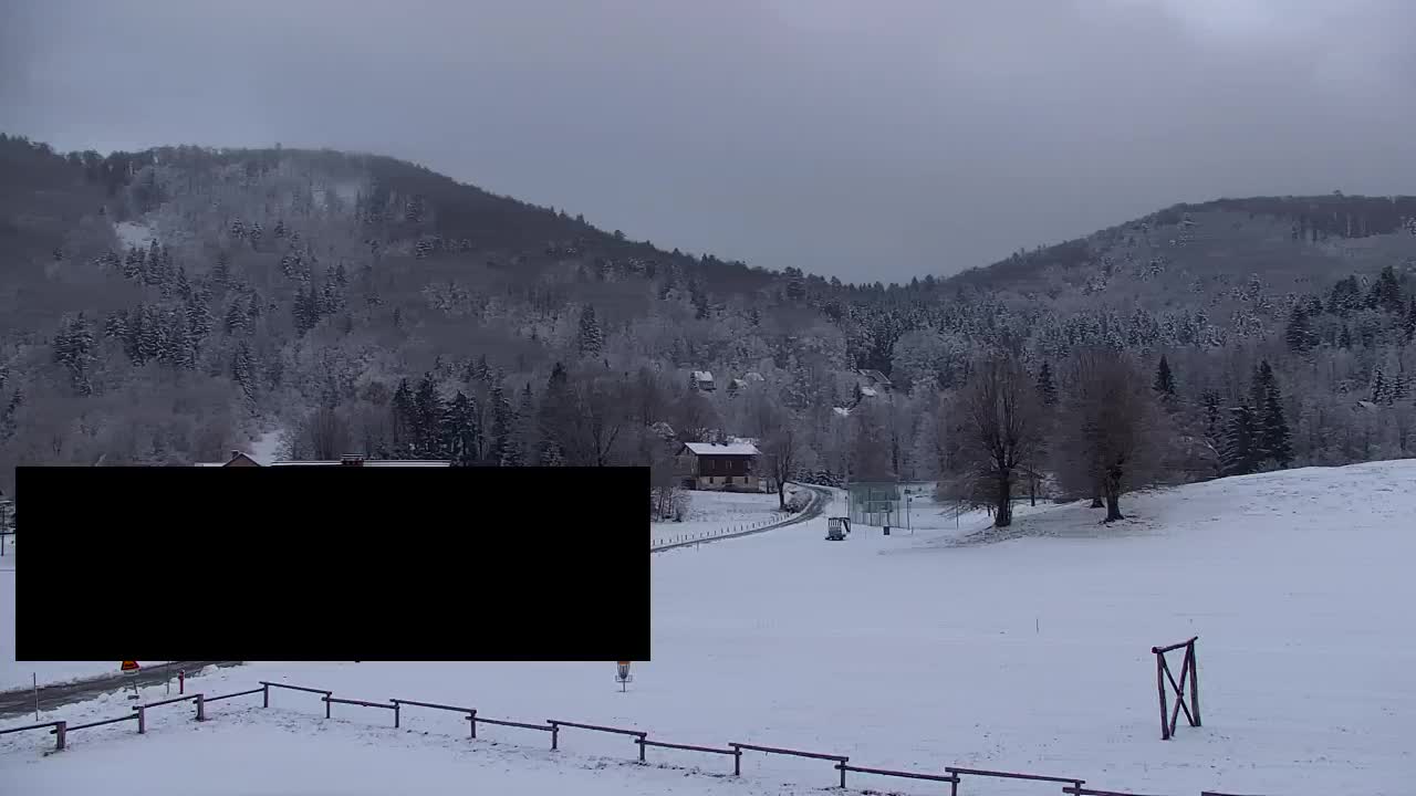 Webcam Loqua / Lokve – La bellezza della selva di Tarnova