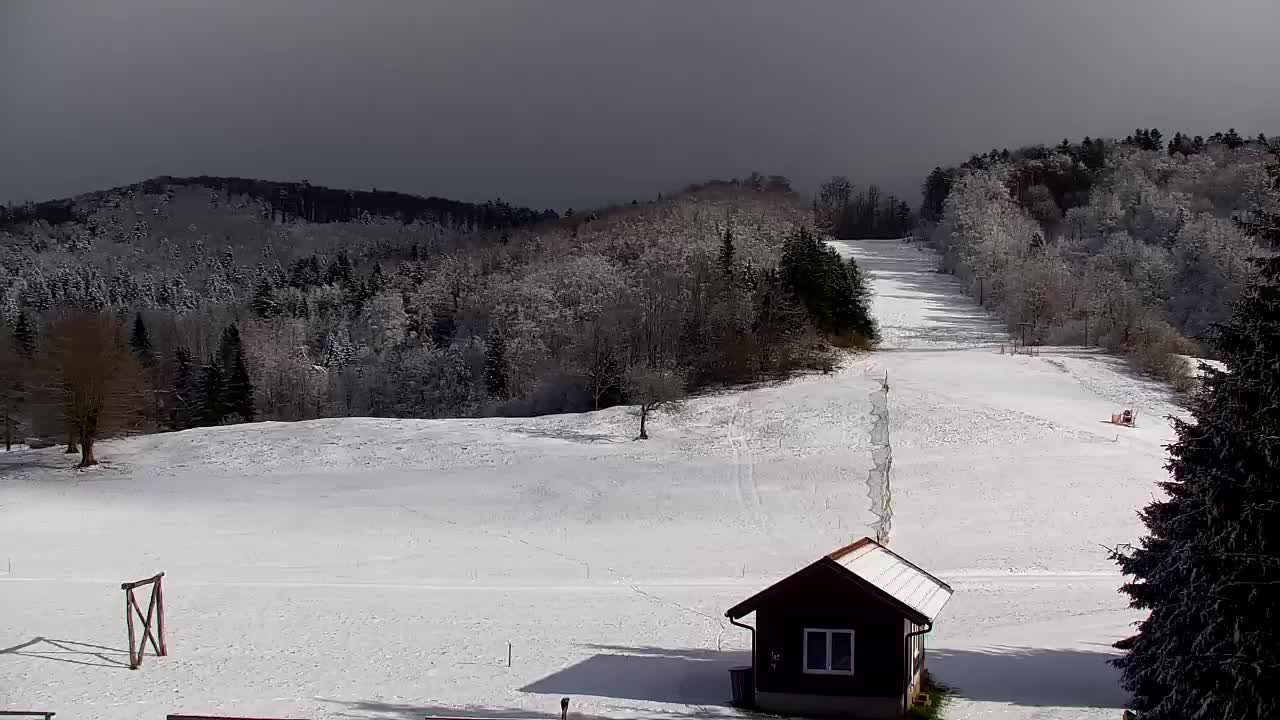 Webcam Lokve – The beauty of the Trnovo forest