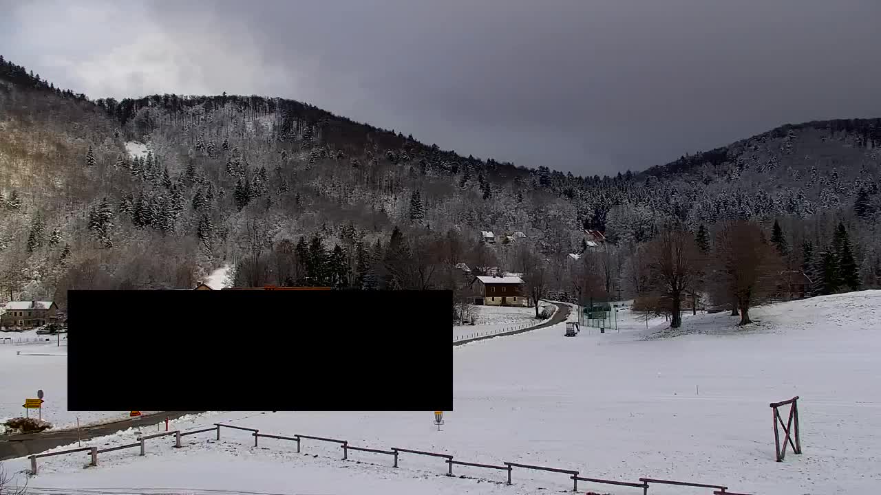 Webcam Loqua / Lokve – La bellezza della selva di Tarnova