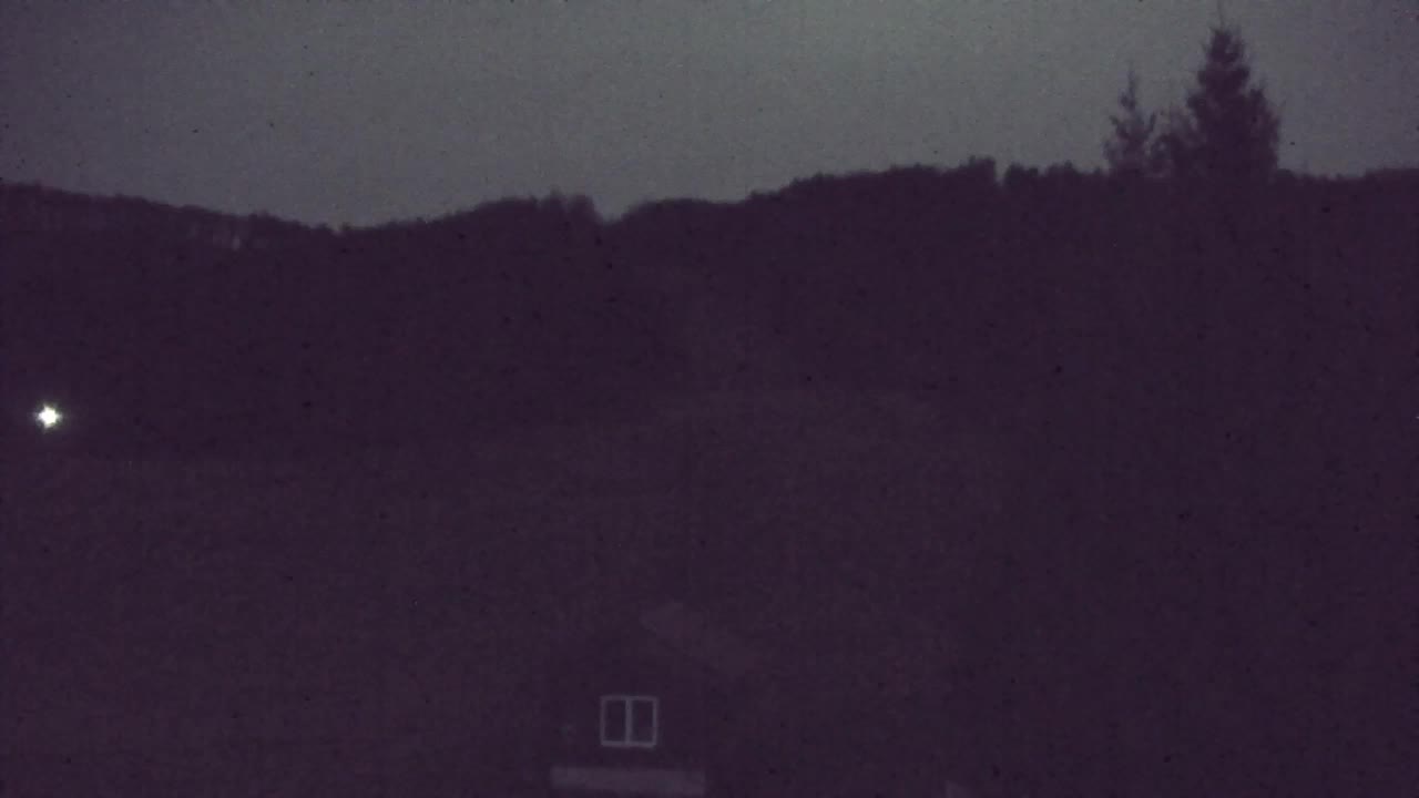 Webcam Lokve – La beauté de la forêt de Trnovo