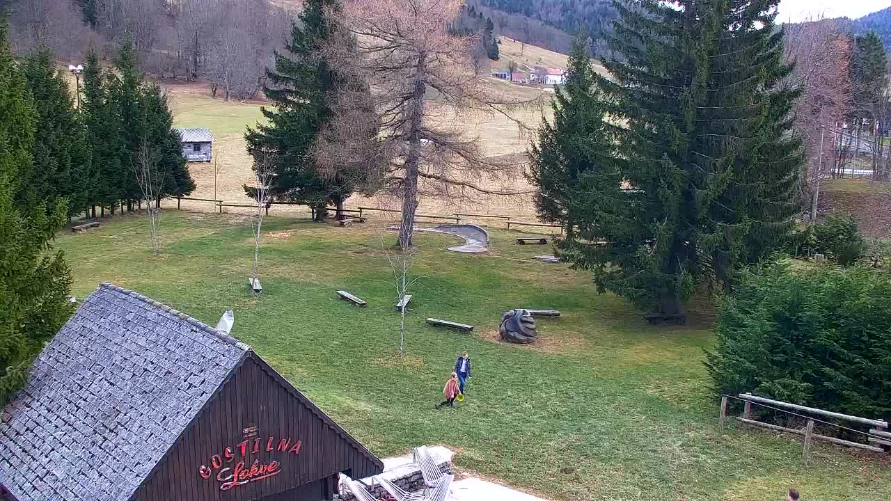 Webcam Lokve – The beauty of the Trnovo forest