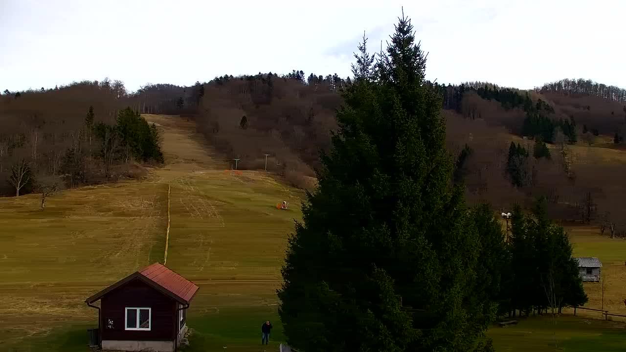 Lokve kamera – Naravne lepote Trnovskega gozda