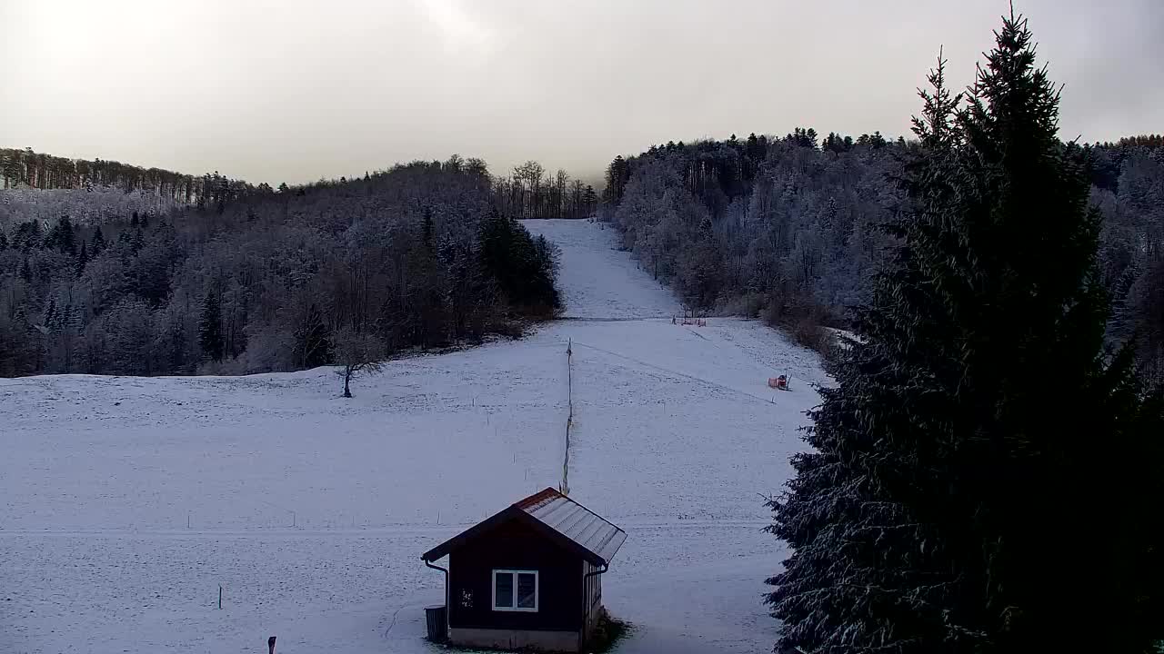 Webcam Lokve – La beauté de la forêt de Trnovo