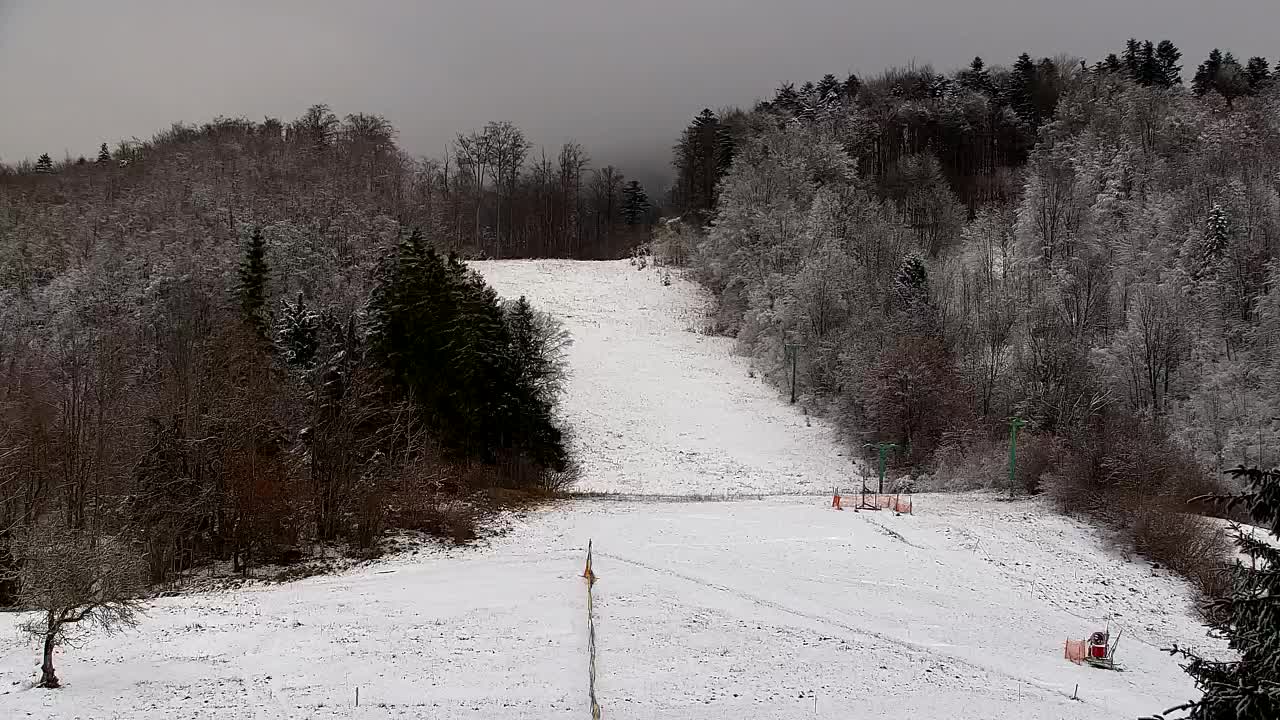 Camera en vivo Lokve – La belleza del bosque de Trnovo
