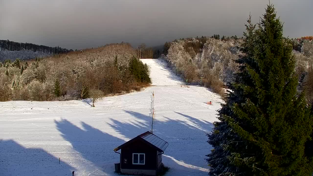 Webcam Lokve – Die Schönheit des Trnovo-Waldes