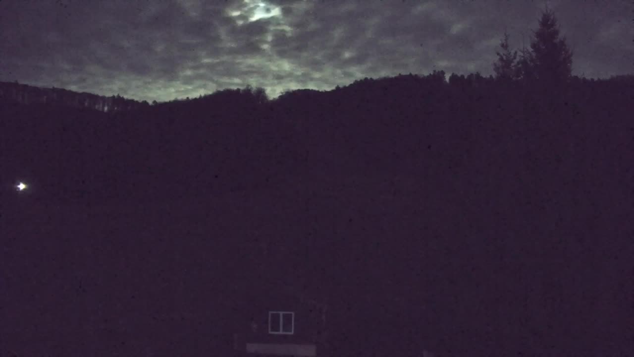 Webcam Lokve – La beauté de la forêt de Trnovo