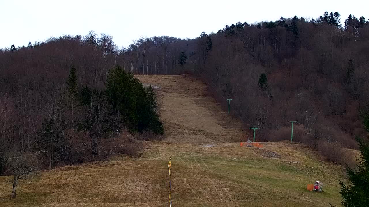 Webcam Lokve – Die Schönheit des Trnovo-Waldes