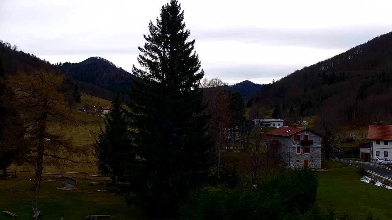 Webcam Lokve – La beauté de la forêt de Trnovo