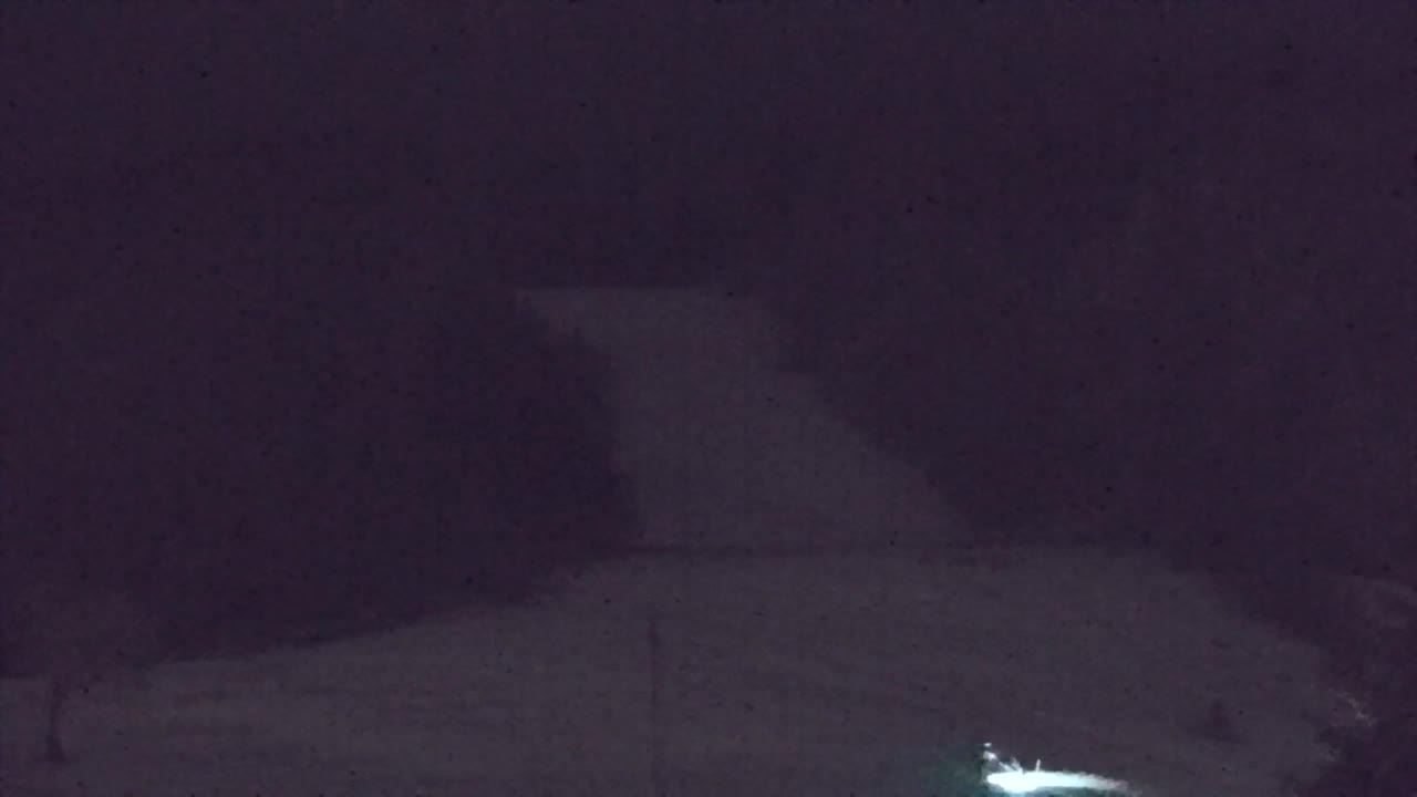 Lokve kamera – Naravne lepote Trnovskega gozda