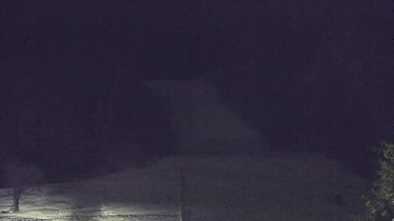 Webcam Lokve – Die Schönheit des Trnovo-Waldes