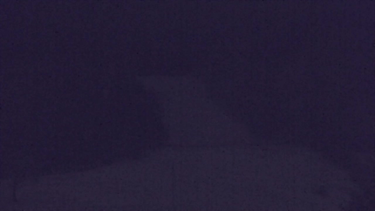 Webcam Loqua / Lokve – La bellezza della selva di Tarnova