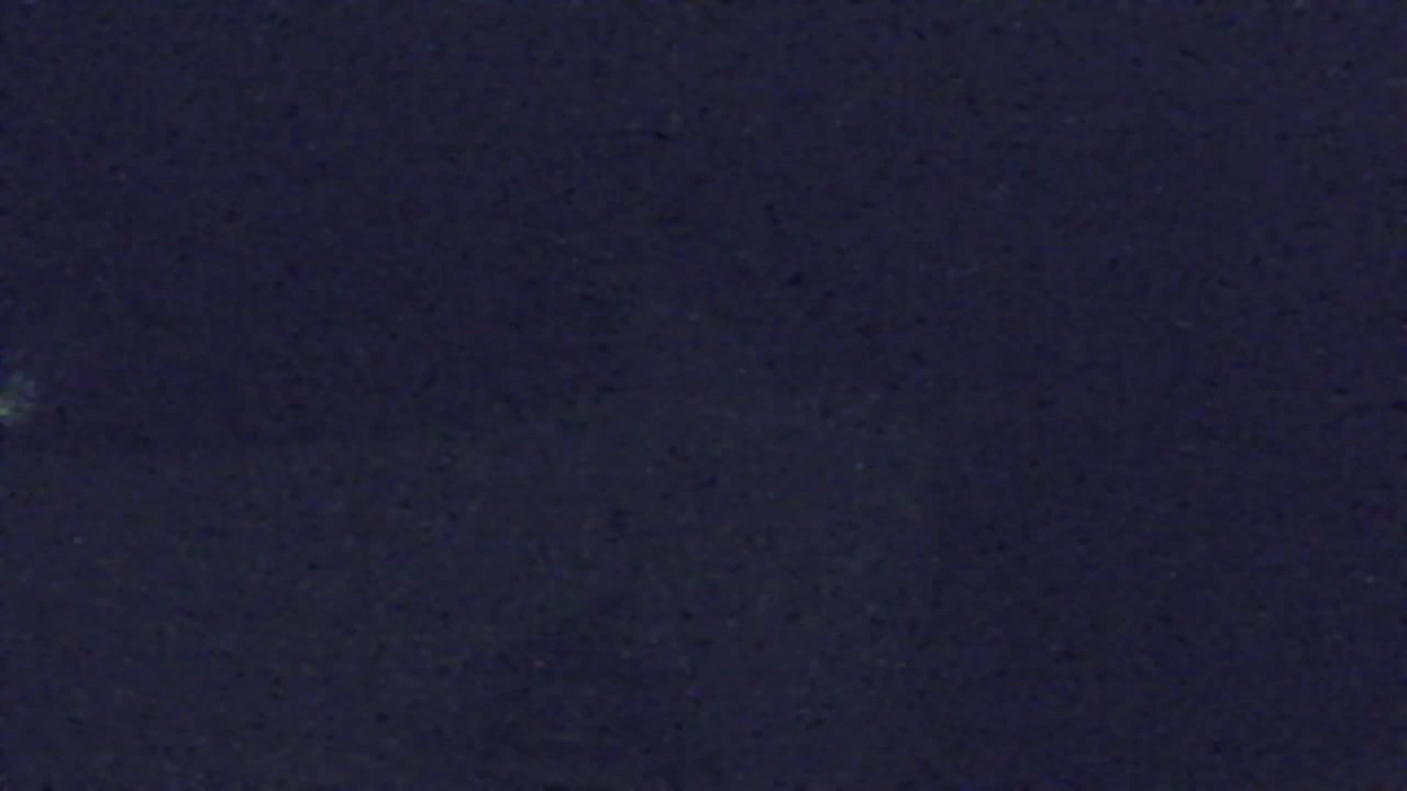 Webcam Loqua / Lokve – La bellezza della selva di Tarnova