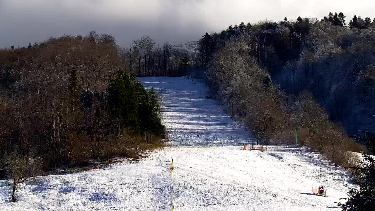 Webcam Lokve – The beauty of the Trnovo forest
