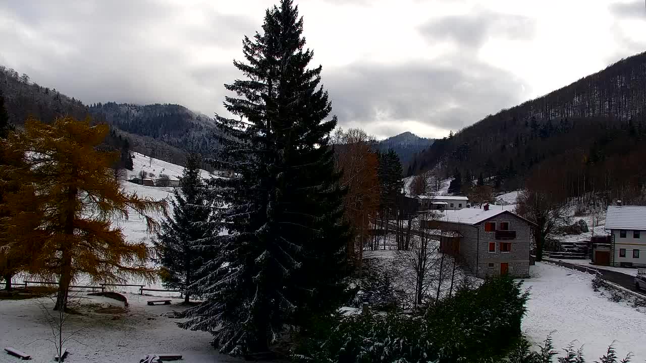 Camera en vivo Lokve – La belleza del bosque de Trnovo