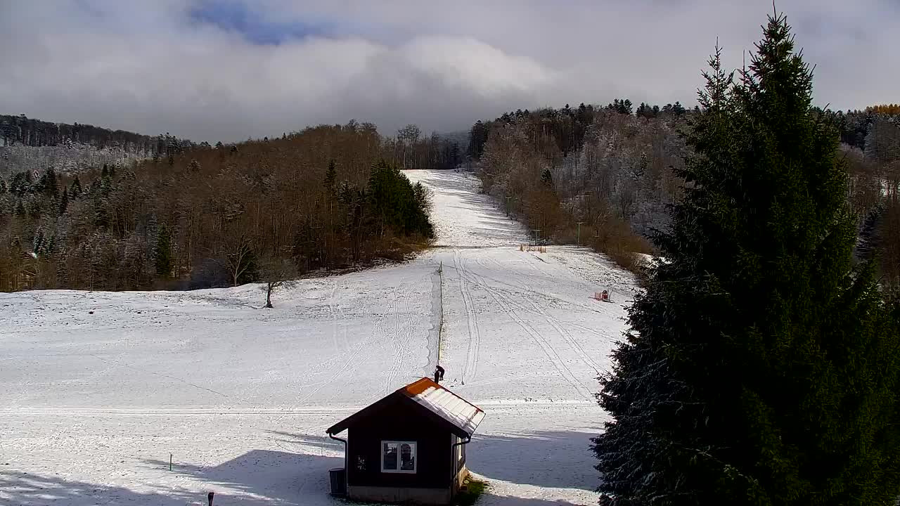 Webcam Lokve – La beauté de la forêt de Trnovo
