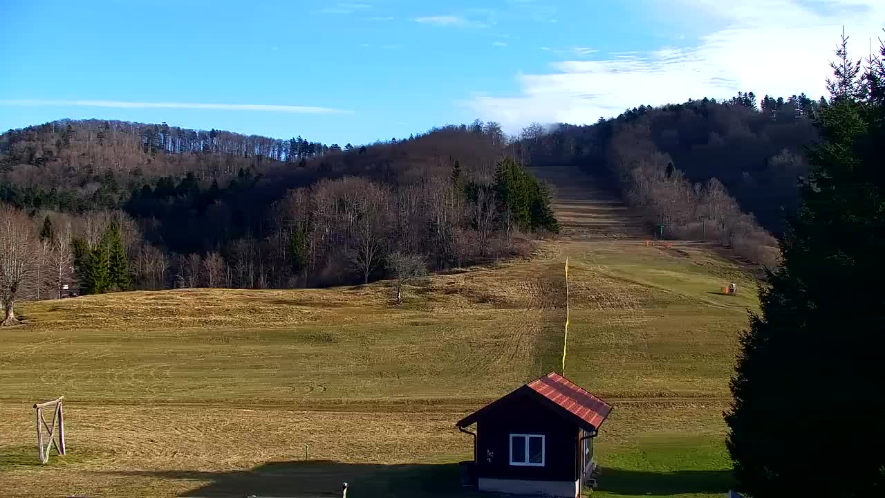 Webcam Loqua / Lokve – La bellezza della selva di Tarnova