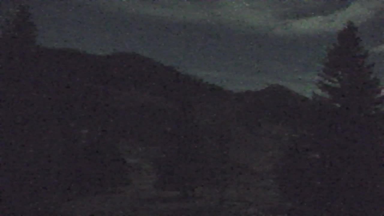 Webcam Lokve – La beauté de la forêt de Trnovo