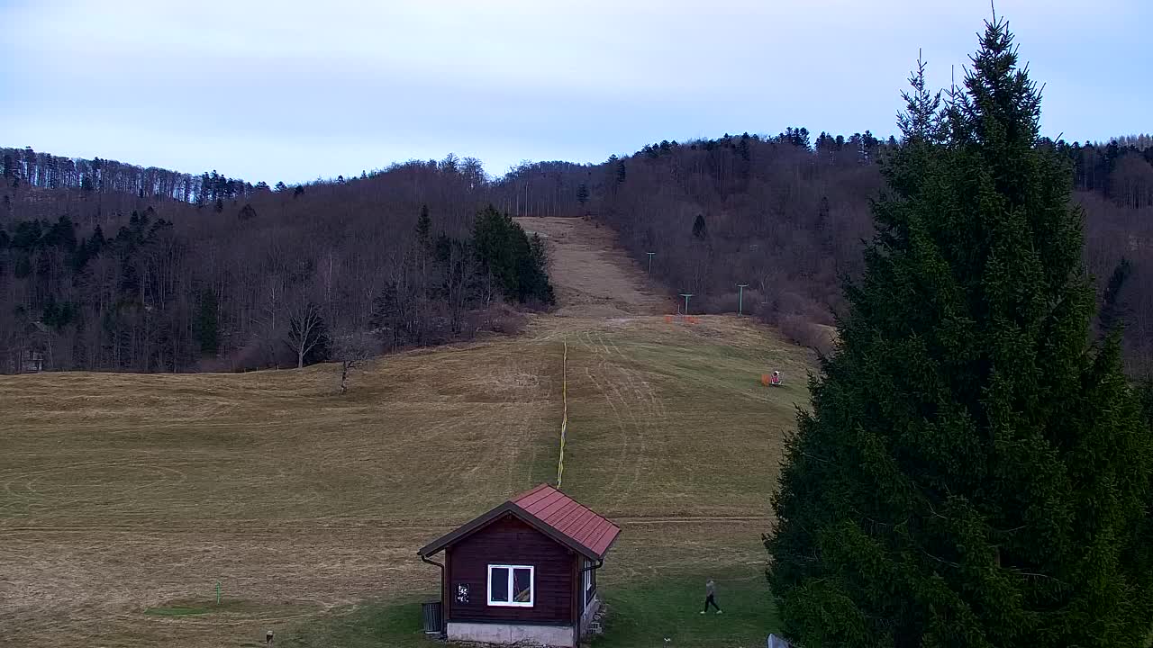 Webcam Loqua / Lokve – La bellezza della selva di Tarnova