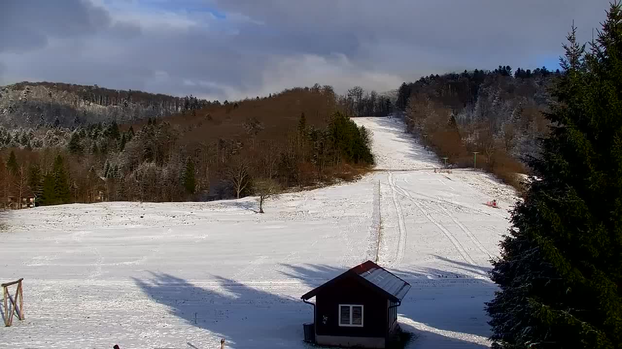 Web kamera Lokve – Ljepota Trnovske šume