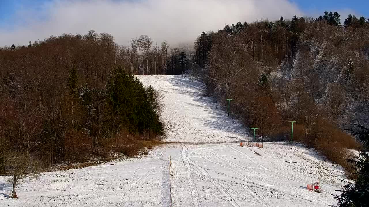 Webcam Lokve – La beauté de la forêt de Trnovo