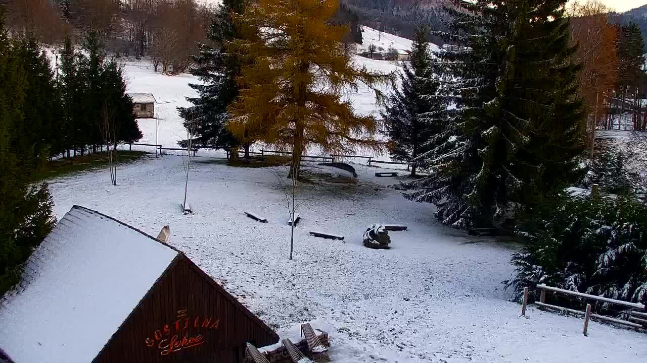 Webcam Lokve – The beauty of the Trnovo forest